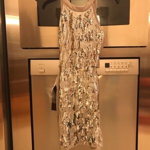 Bebe sequin dress.
